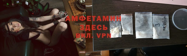 стафф Алексин
