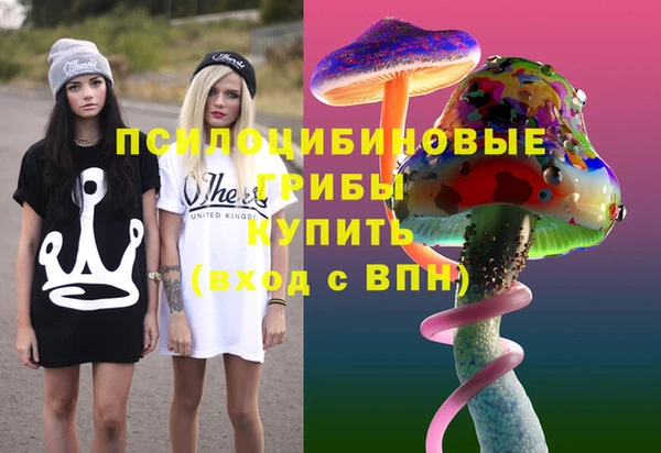 прущие грибы Алзамай