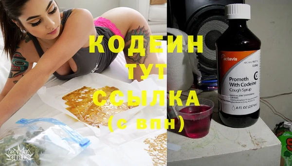 прущие крисы Абаза