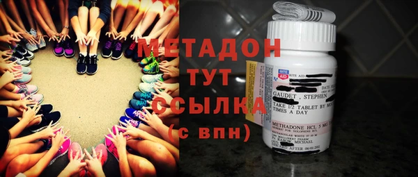 прущие грибы Алзамай