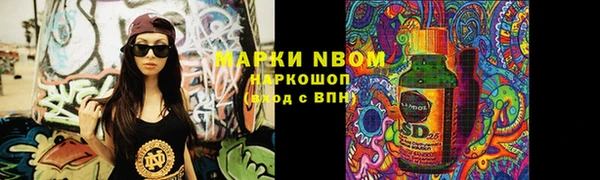 стафф Алексин