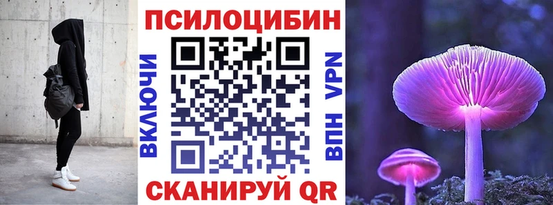 Псилоцибиновые грибы прущие грибы  Томари 